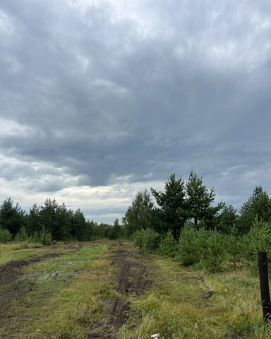 Бутырский сельсовет фото