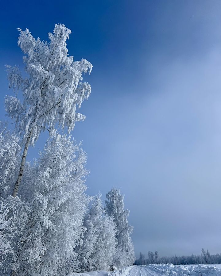 земля р-н Задонский с Донское Бутырский сельсовет фото 6