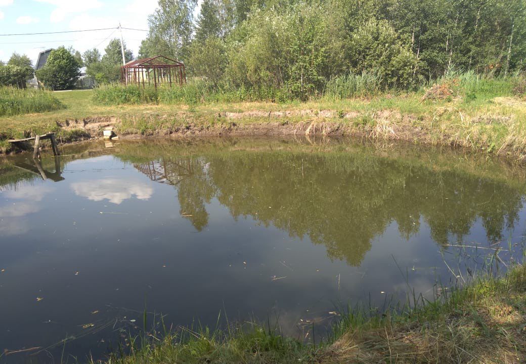 земля городской округ Орехово-Зуевский д Давыдово садовое некоммерческое товарищество Виктория фото 2