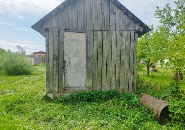 снт Голубево пр-д Дружный Калининград фото