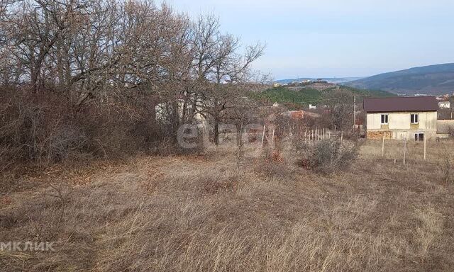 садовое товарищество Дружба фото