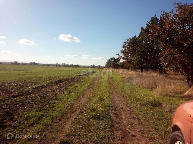 земля р-н Симферопольский село Равнополье фото 1