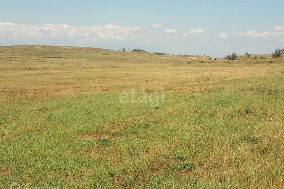 земля р-н Симферопольский Кольчугинское сельское поселение фото 2