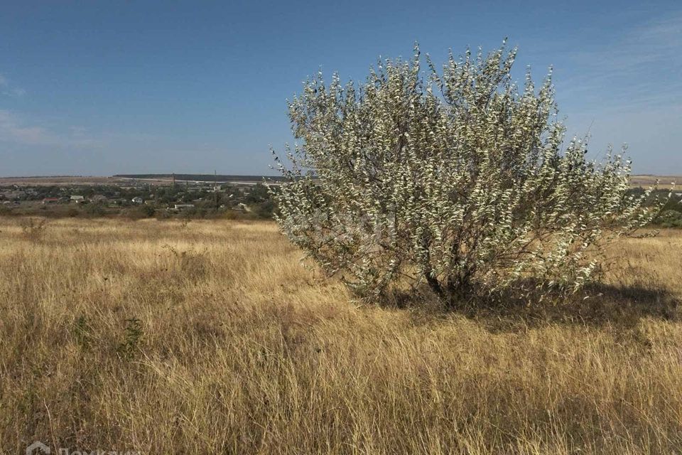 земля р-н Белогорский посёлок городского типа Зуя фото 8