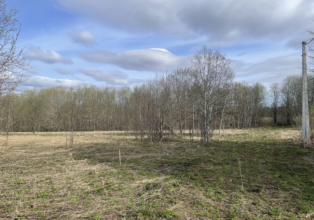 земля городской округ Шаховская д Гаврино ул Молодёжная фото 9