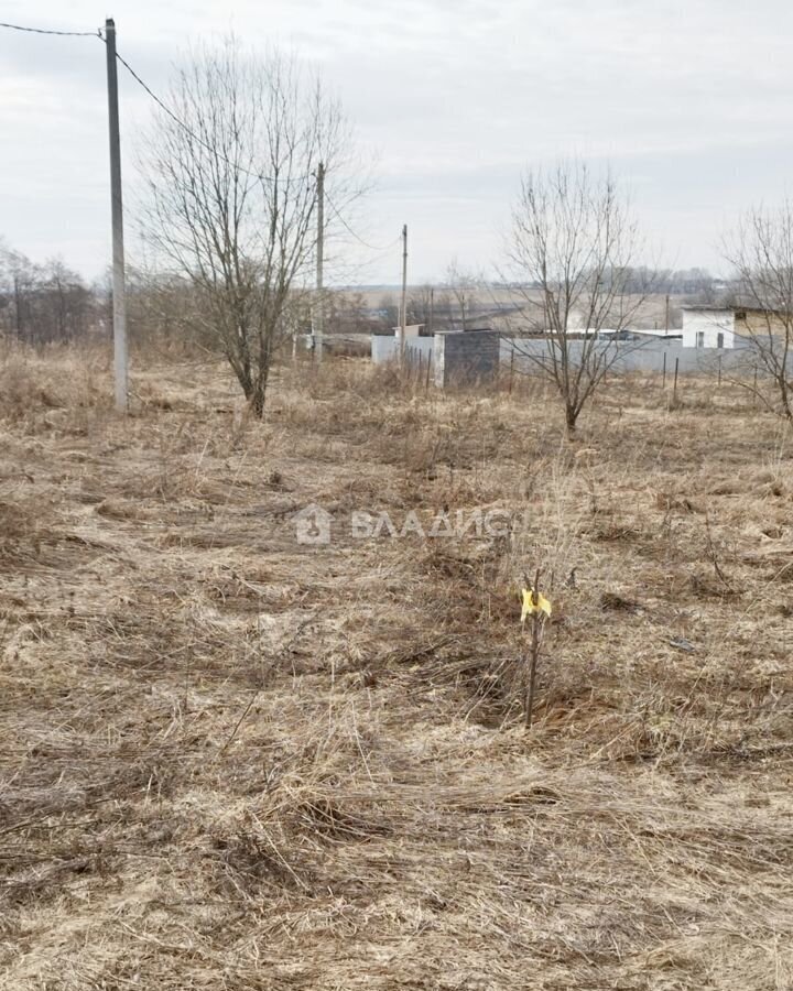 земля городской округ Коломенский с Лукерьино Коломна фото 2