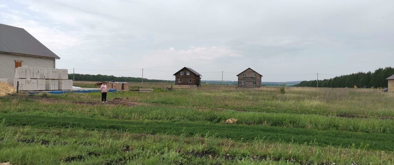 земля р-н Карсунский рп Карсун ул Котельникова Карсунское городское поселение фото 4