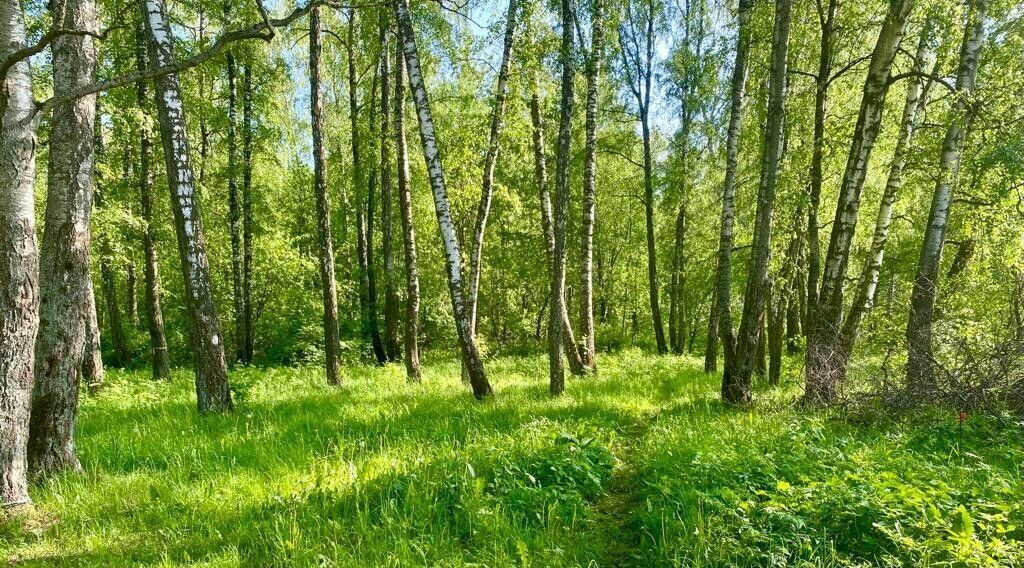 офис городской округ Ленинский п Горки Ленинские фото 11