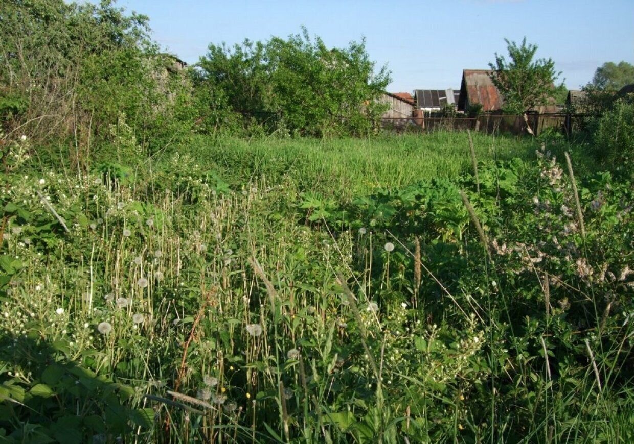 земля р-н Тахтамукайский Энемское городское поселение, ДНТ Приречный, Виноградная ул., 332, Краснодарский край, Афипский фото 1