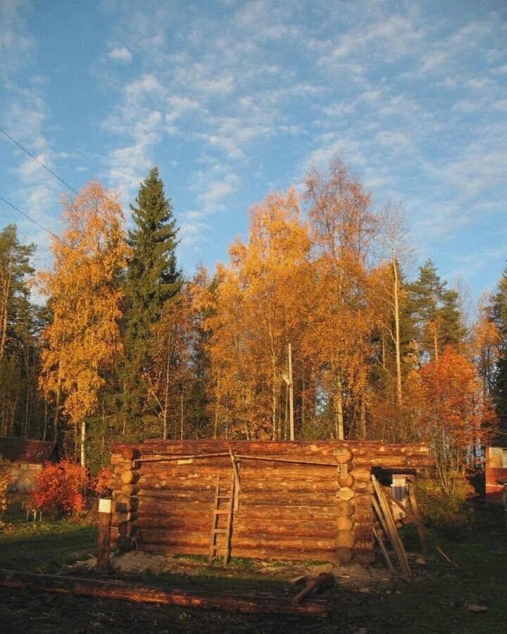 земля р-н Суоярвский снт Лесная поляна Сортавальский р-н, Хаапалампинское сельское поселение, Сортавала фото 5