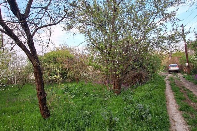 муниципальное образование Анапа, садово-огородническое товарищество Колос фото