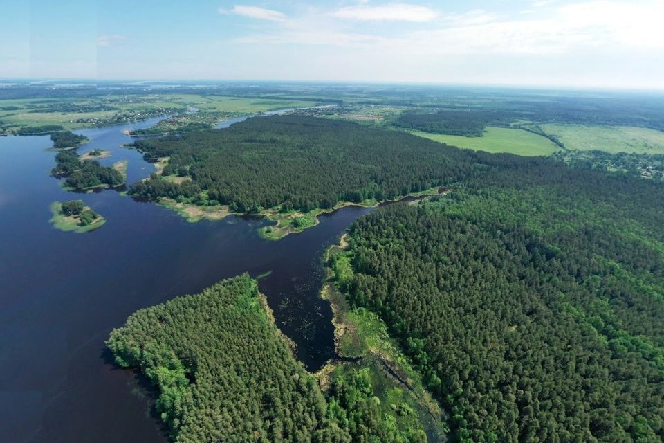 земля р-н Калязинский деревня Алексино фото 1