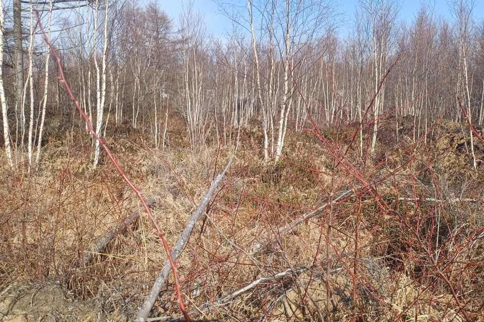 земля г Южно-Сахалинск городской округ Южно-Сахалинск, СНТ Здоровье фото 1