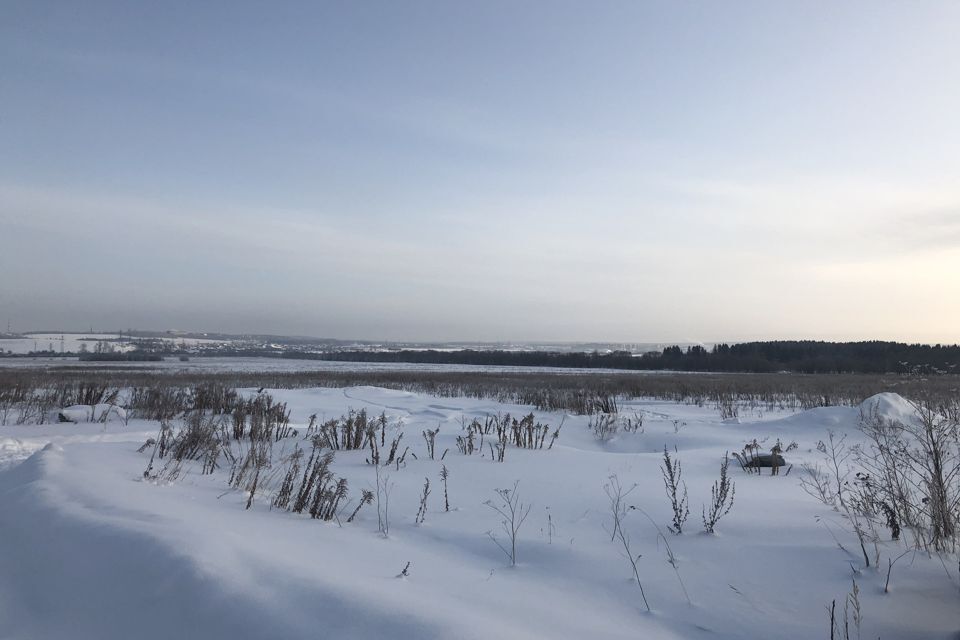 земля р-н Пермский деревня Устиново фото 1