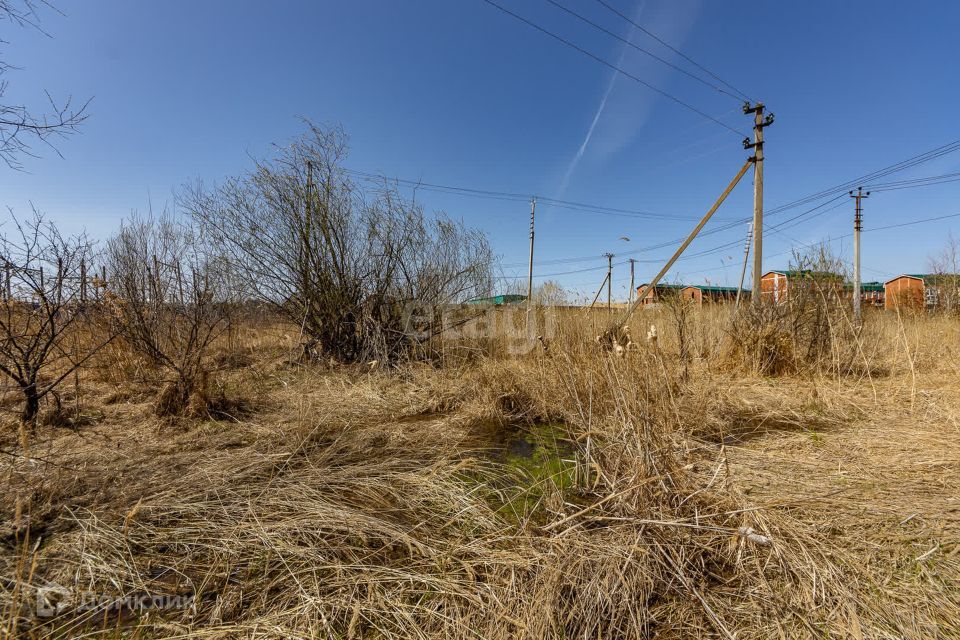 земля р-н Хабаровский село Тополево фото 4