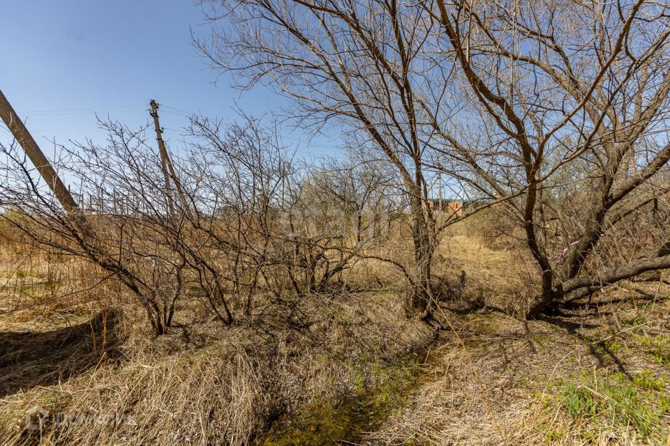 земля р-н Хабаровский село Тополево фото 4