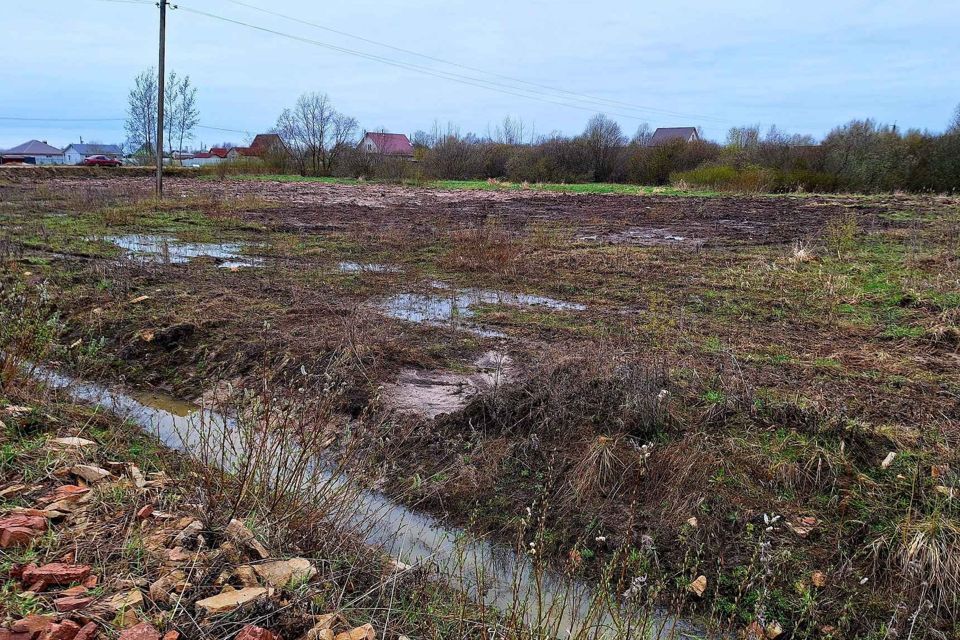 земля р-н Новгородский деревня Моисеевичи фото 3