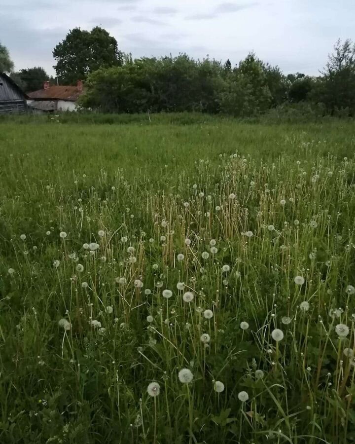 земля р-н Ясногорский с Верхнее Красино Ясногорск фото 1