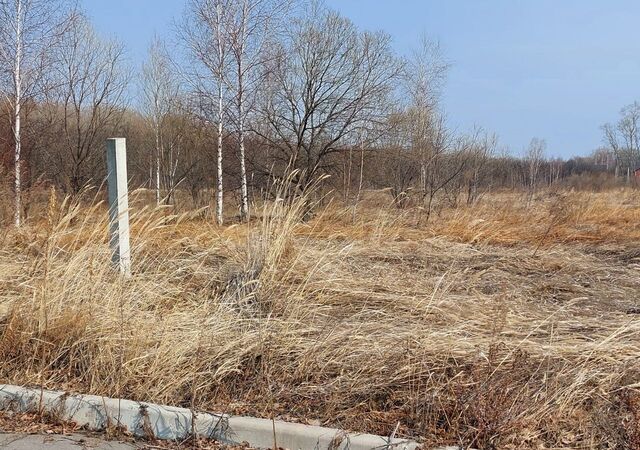 земля Мичуринское сельское поселение, квартал Красное Поле, Хабаровск фото