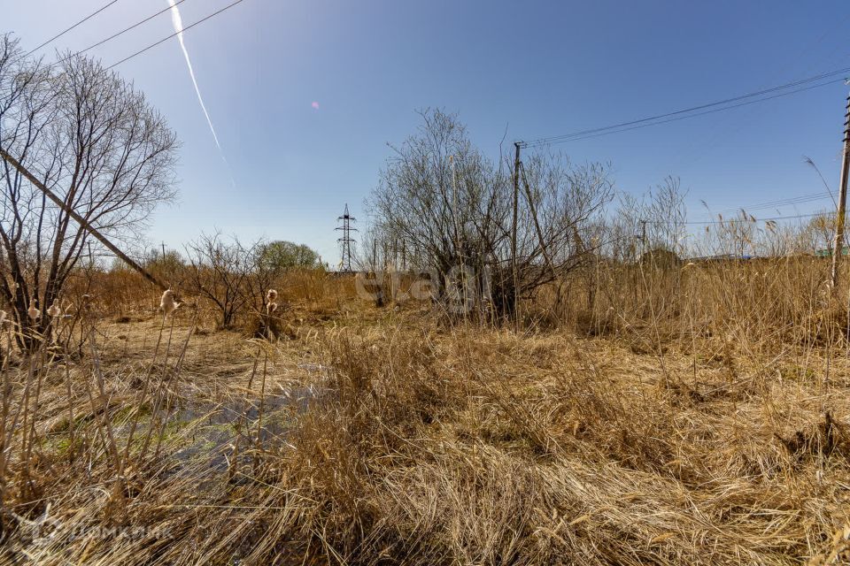 земля р-н Хабаровский село Тополево фото 5