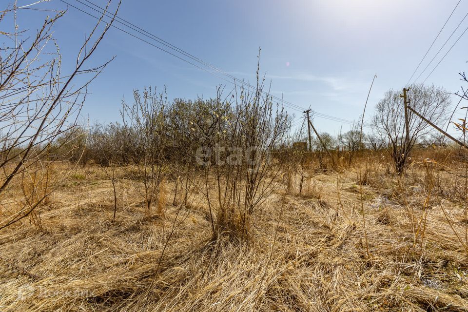 земля р-н Хабаровский село Тополево фото 9