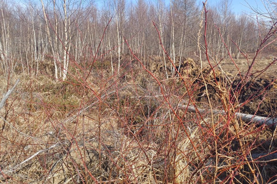 земля г Южно-Сахалинск городской округ Южно-Сахалинск, СНТ Здоровье фото 9