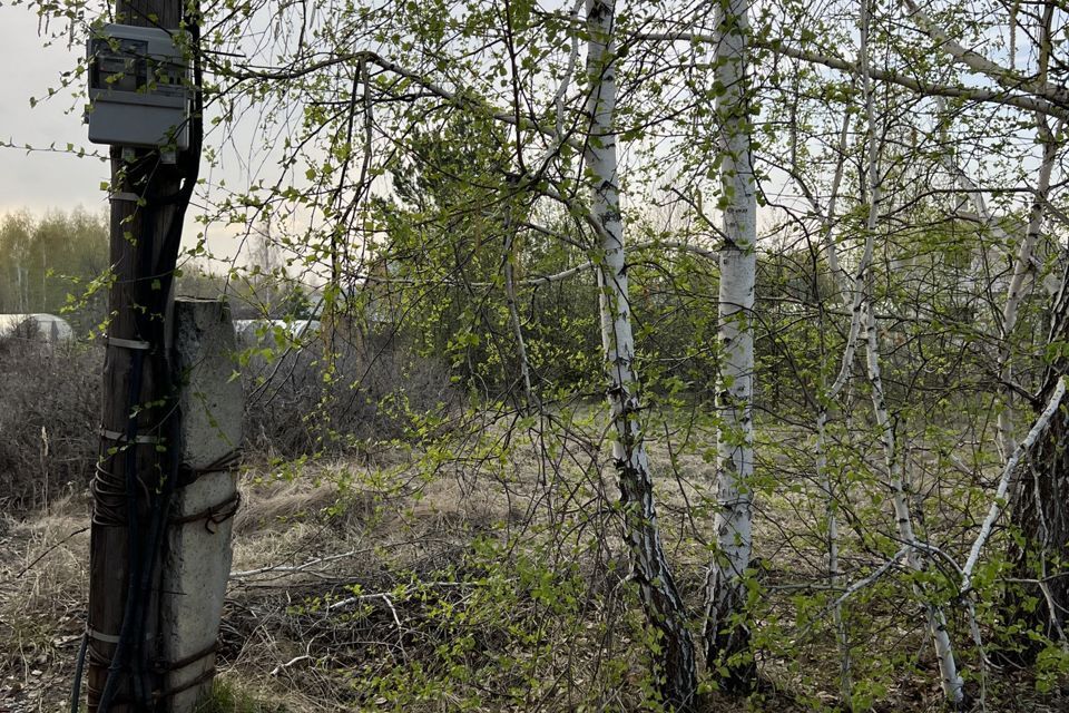 земля г Копейск Копейский городской округ, СНТСН Любитель фото 8