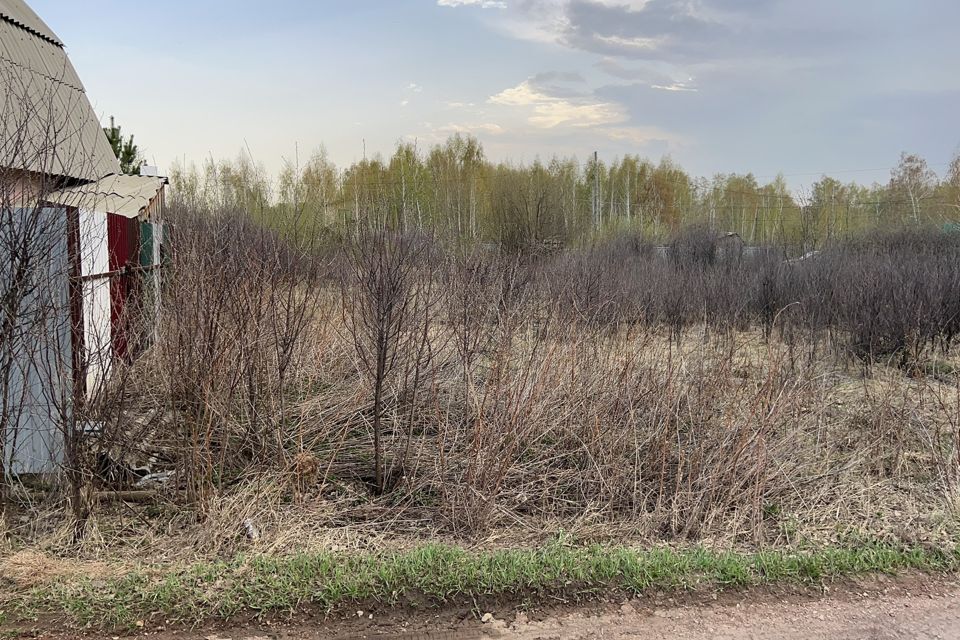 земля г Копейск Копейский городской округ, СНТСН Любитель фото 5