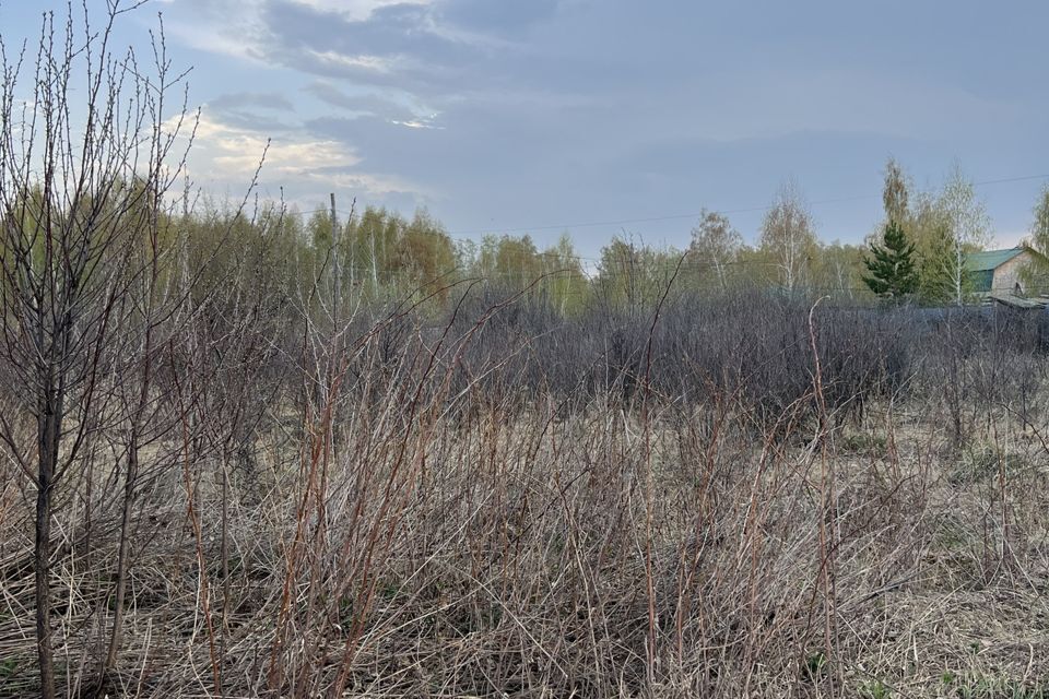 земля г Копейск Копейский городской округ, СНТСН Любитель фото 6