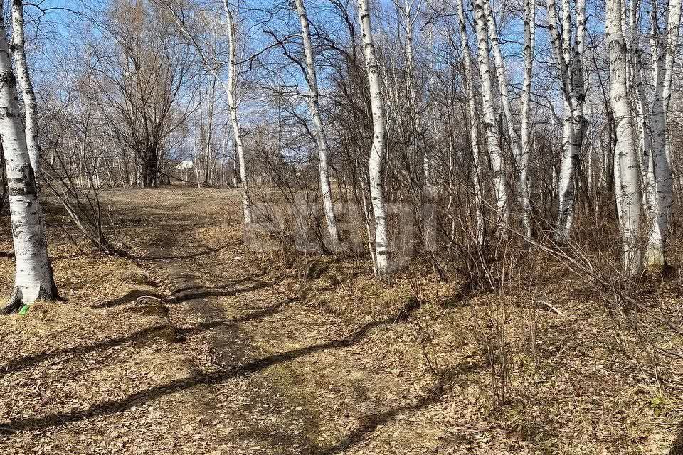 земля р-н Комсомольский с Новый Мир ул Школьная 41/1 фото 6