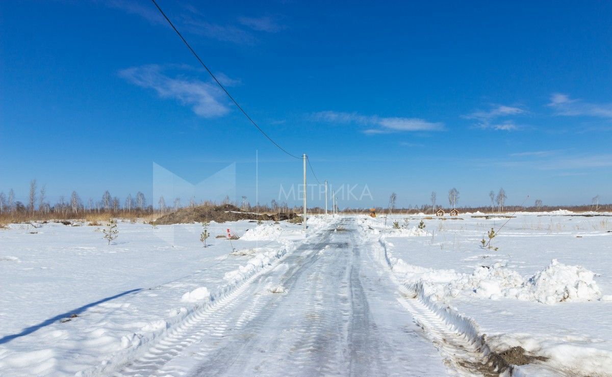 земля г Тюмень р-н Центральный снт Липовый остров ул 1-я Западная фото 16