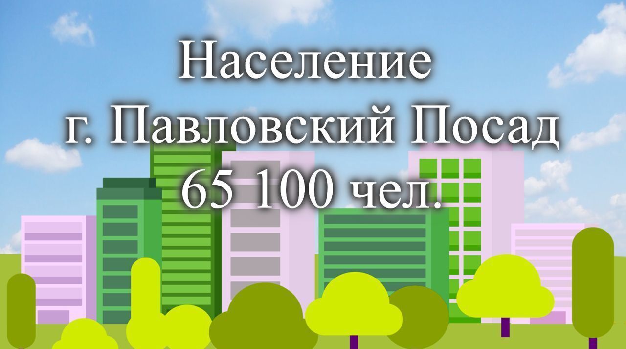 земля городской округ Павловский Посад Городковская ул., 75А фото 5