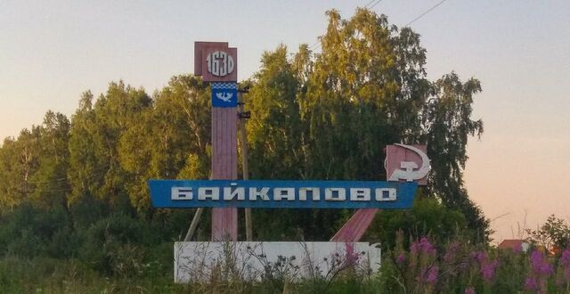 земля Байкаловское сельское поселение, квартал Центр фото