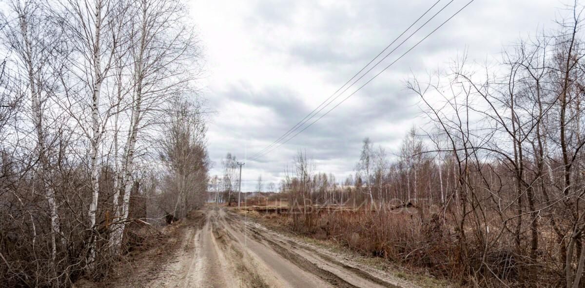 земля р-н Нижнетавдинский снт Здоровье-3 фото 4