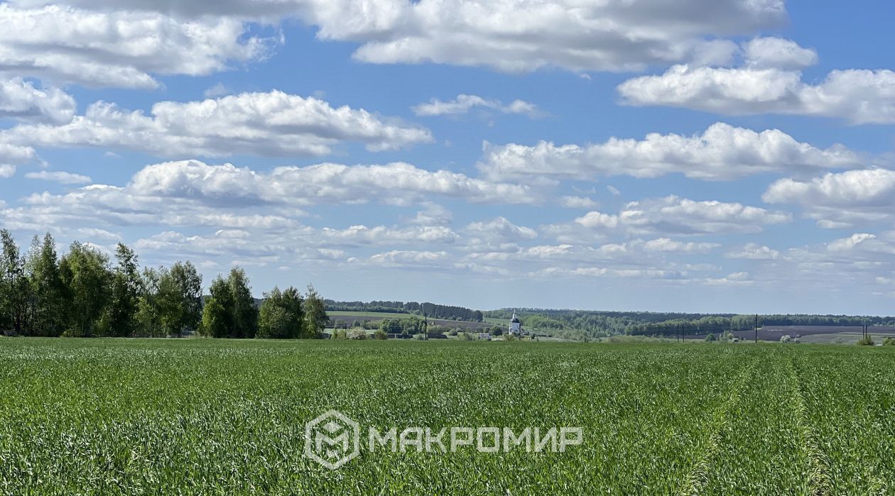 земля р-н Орловский с Сабурово фото 5