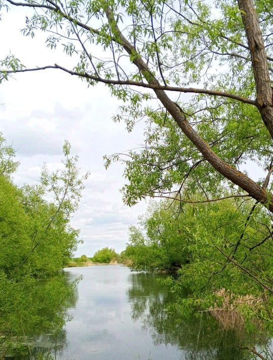 дом городской округ Луховицы д Торжнево снт Торжнево фото 1