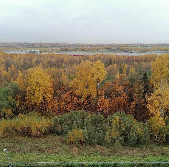 квартира г Санкт-Петербург п Парголово метро Проспект Просвещения Юкковское ш., 6к 6 фото 7