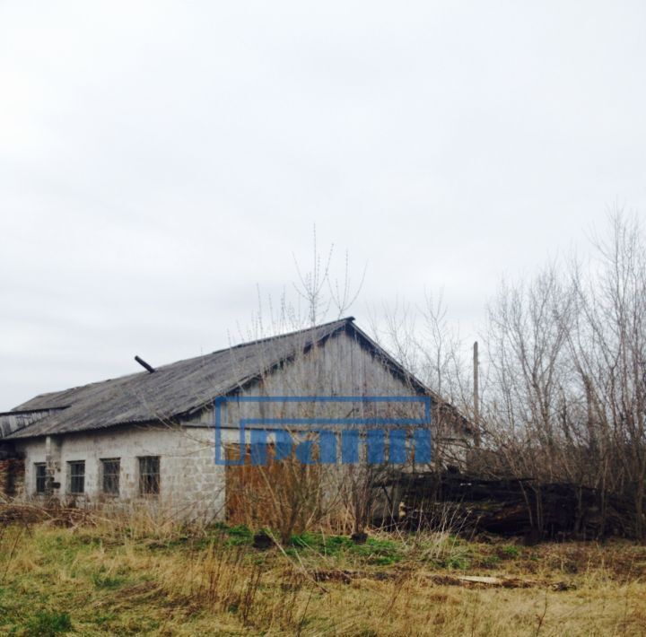 земля р-н Курский п Подлесный сельсовет, Клюквинский фото 2