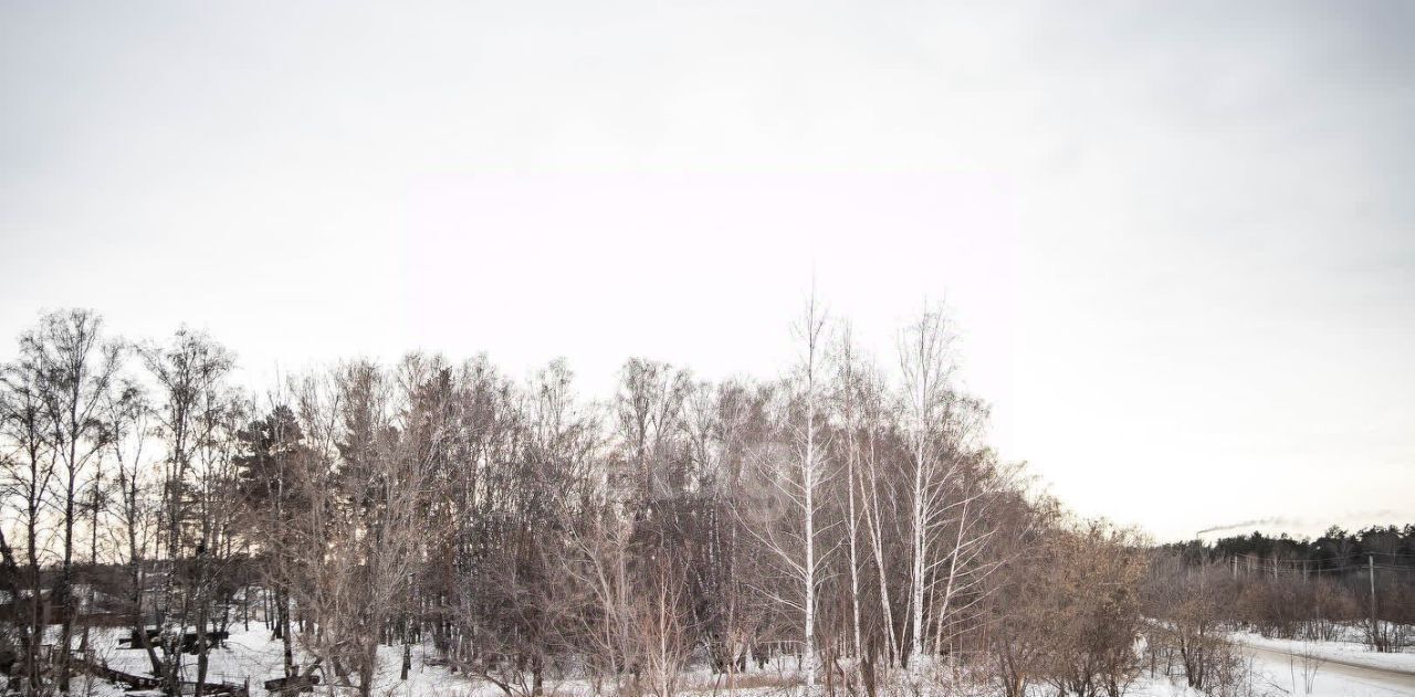 земля р-н Искитимский с Морозово фото 3