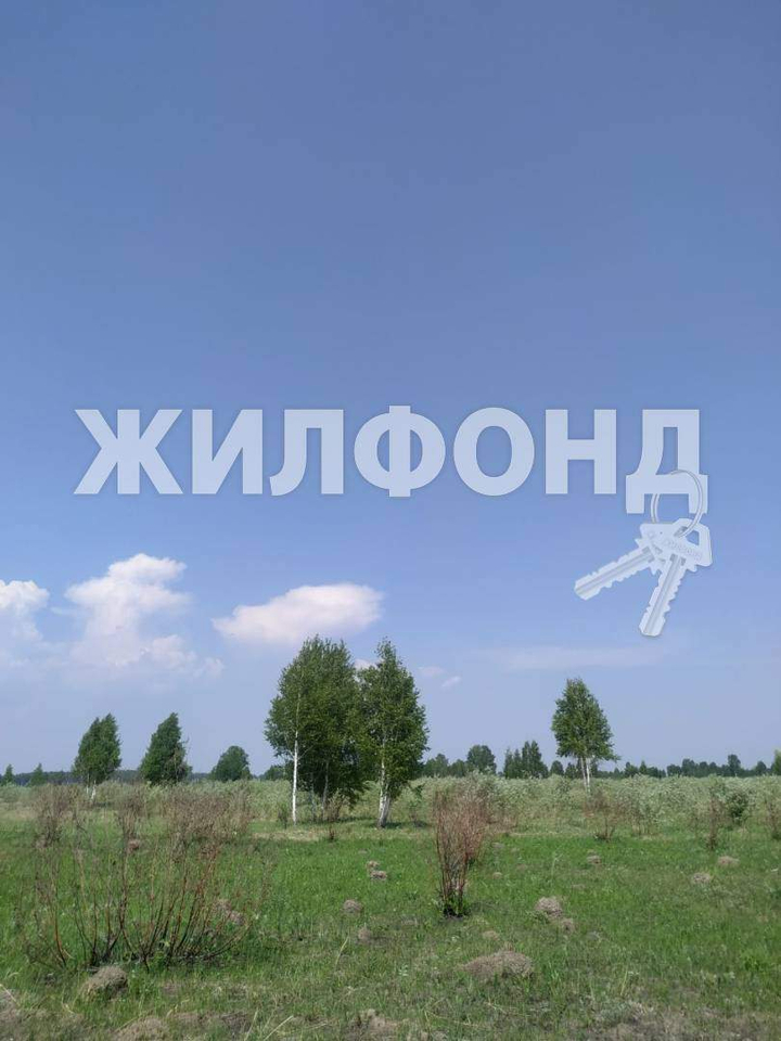 земля р-н Новосибирский п Воробьевский ДНТ Реестр территория фото 1