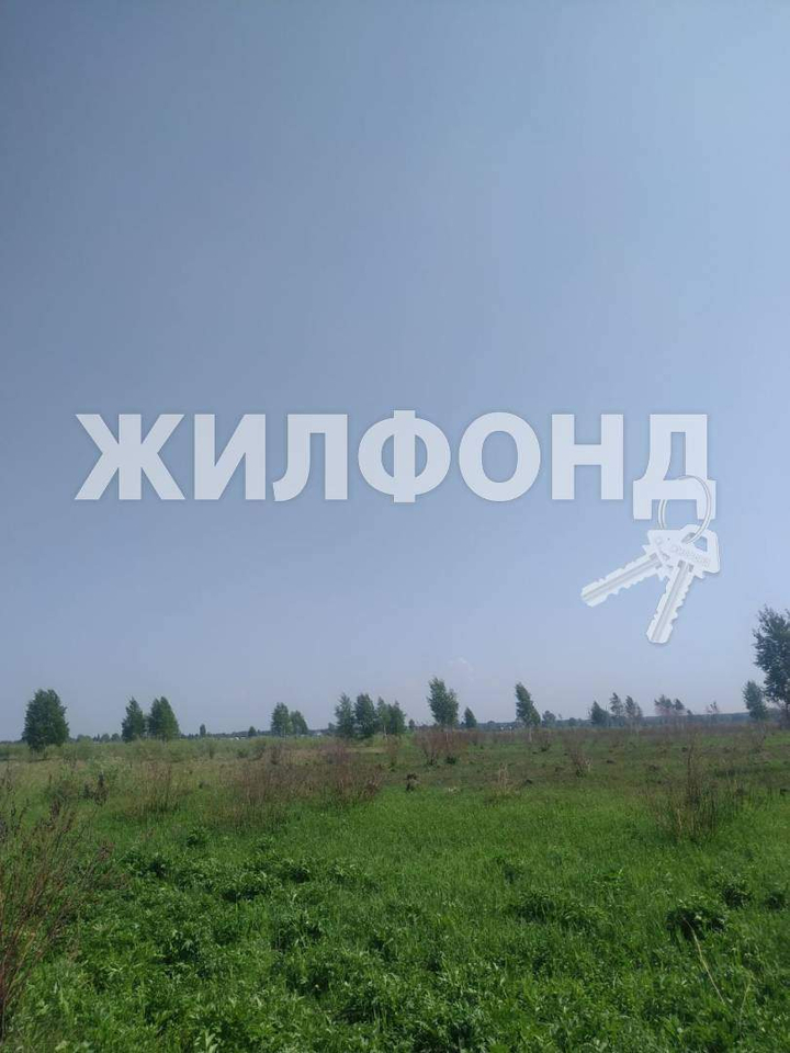земля р-н Новосибирский п Воробьевский ДНТ Реестр территория фото 6