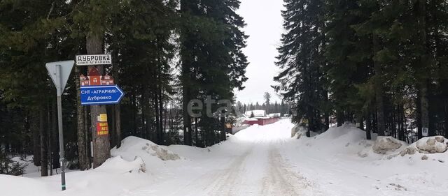 земля СОК Аграрник-2 фото