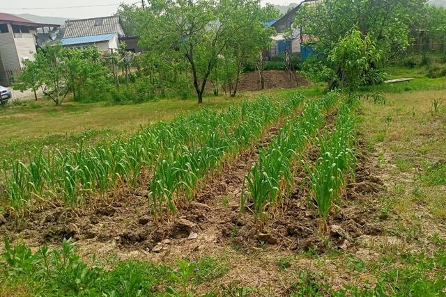 городской округ Сочи, село Илларионовка фото