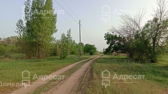 земля Краснослободск фото