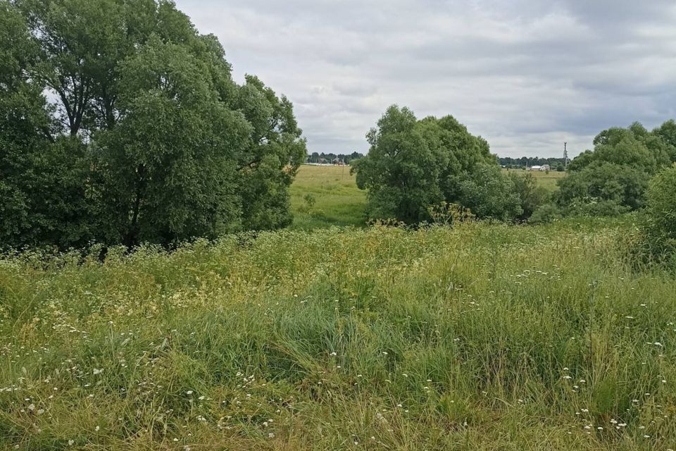 земля городской округ Воскресенск село Федино фото 3