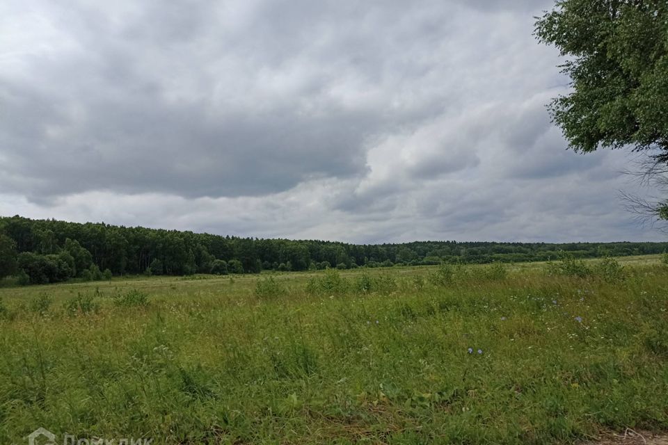 земля городской округ Воскресенск село Федино фото 2