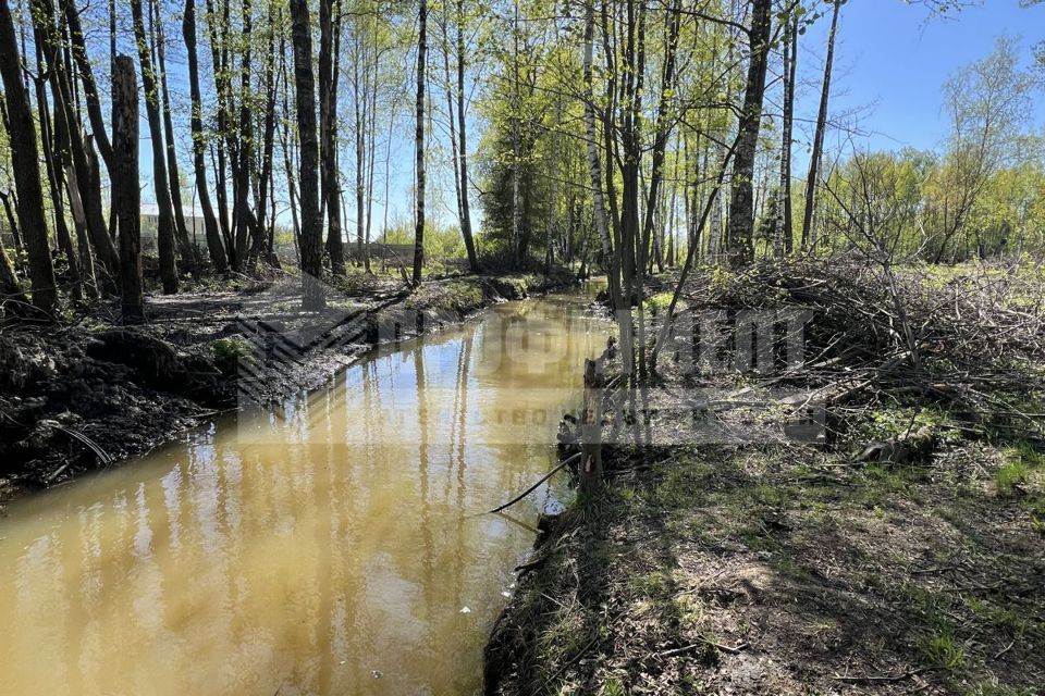 земля городской округ Щёлково село Трубино фото 2