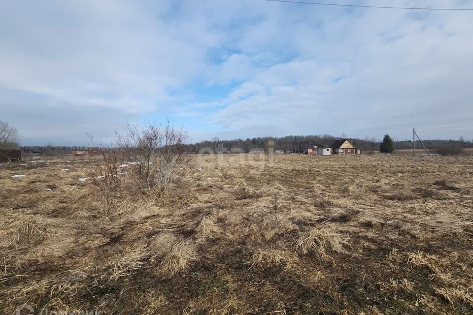 земля р-н Киришский село Посадников Остров фото 4