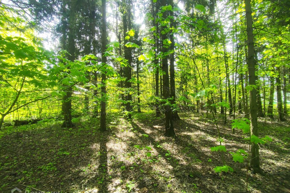 земля городской округ Мытищи посёлок Трудовая фото 4