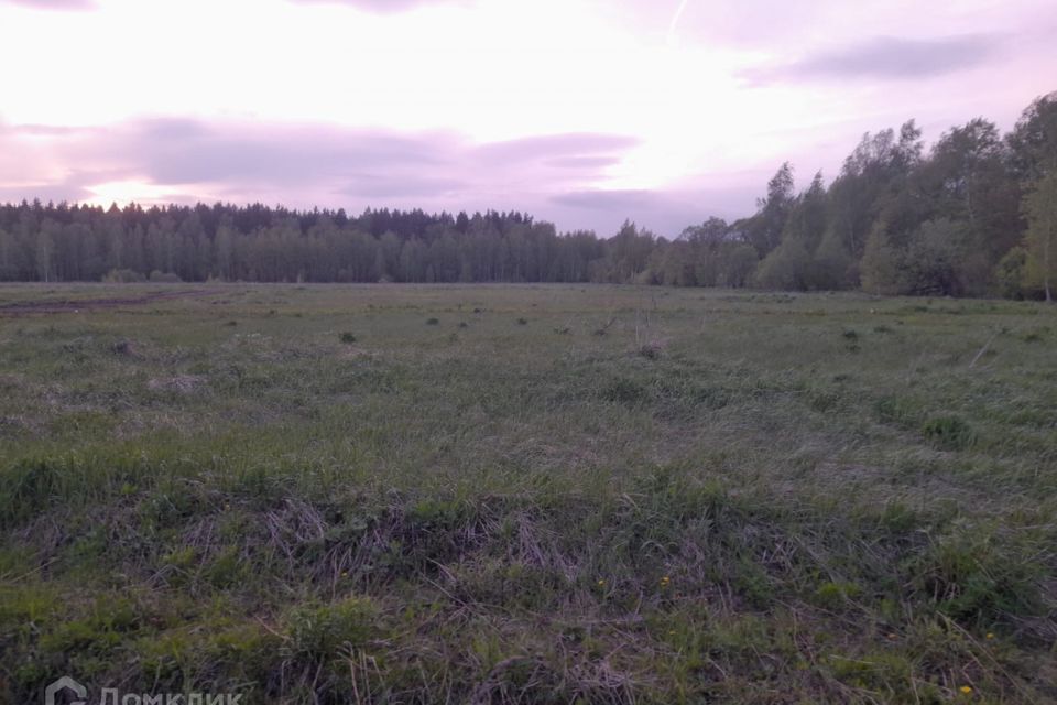 земля городской округ Воскресенск коттеджный посёлок Малахитовая Поляна, Красная улица фото 5